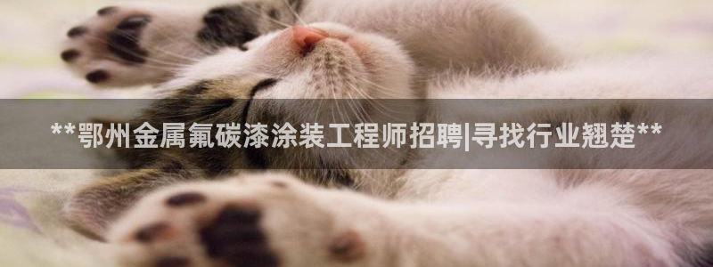 美高梅儿童乐园官网