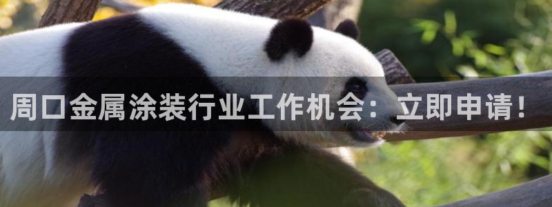 美高梅是什么意思啊