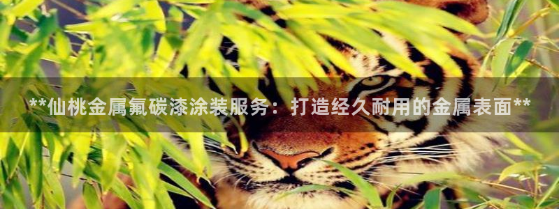美高梅百款游戏推荐