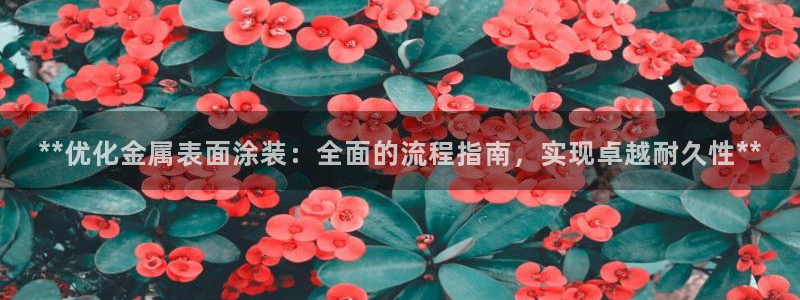 美高梅会员卡
