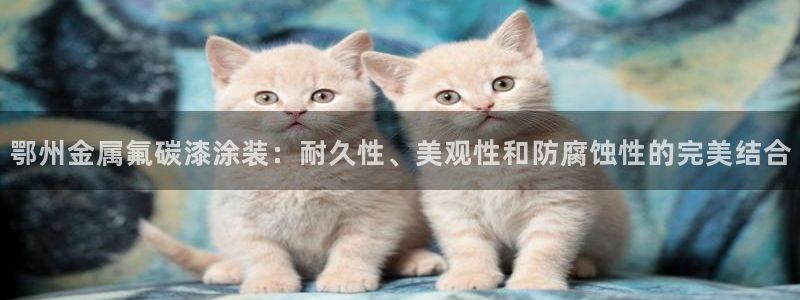 美高梅4688集团am