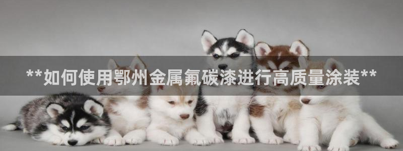 美高梅酒店老板是谁