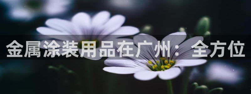 美高梅青岛酒店