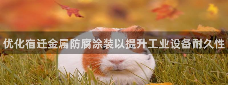 美高梅酒店投资多少钱