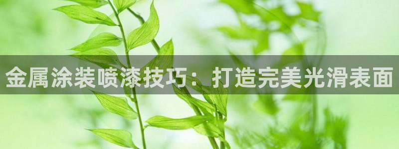 美高梅股票代码09128