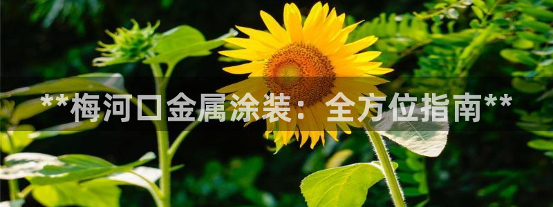 美高梅是谁的资产
