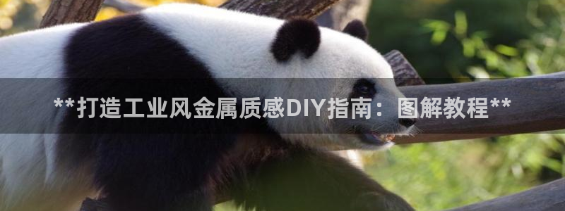 美高梅中国控股有限公司 介绍