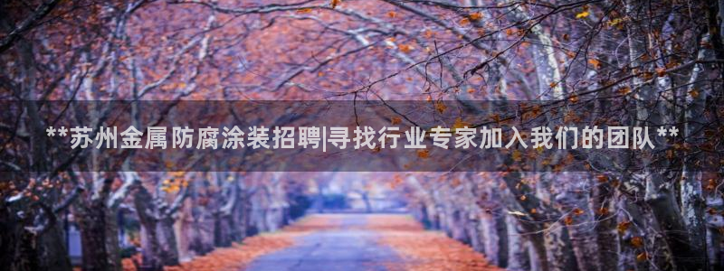 美高梅会员卡级别黑卡