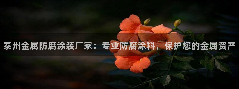 美高梅酒店的包可以拿走吗