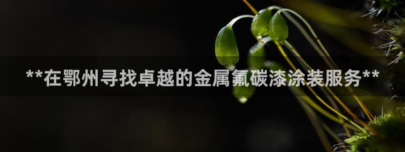 美高梅官网招聘