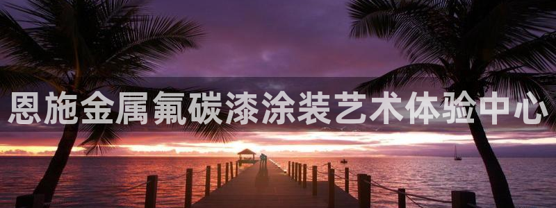 美高梅国际酒店集团位于美国哪个城市