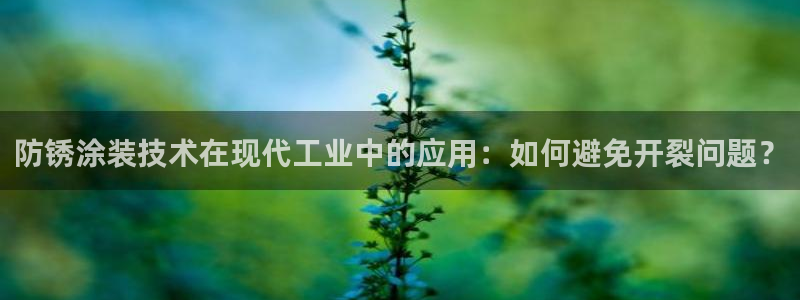 澳门有几家美高梅酒店