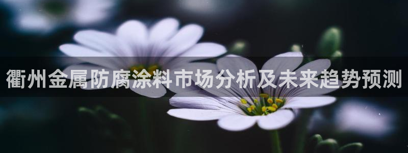 澳门的美高梅是谁的