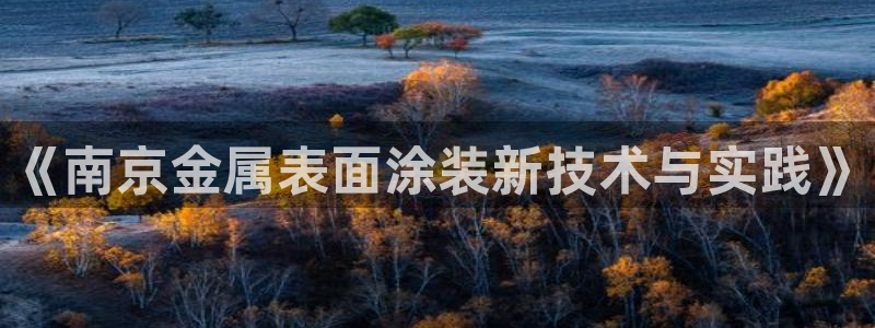 中国美高梅酒店有几家
