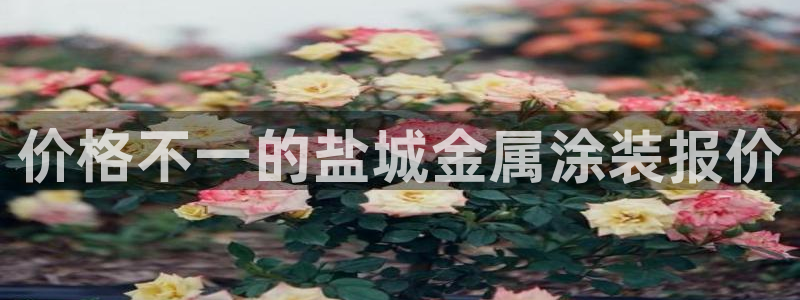 美国美高梅酒店集团