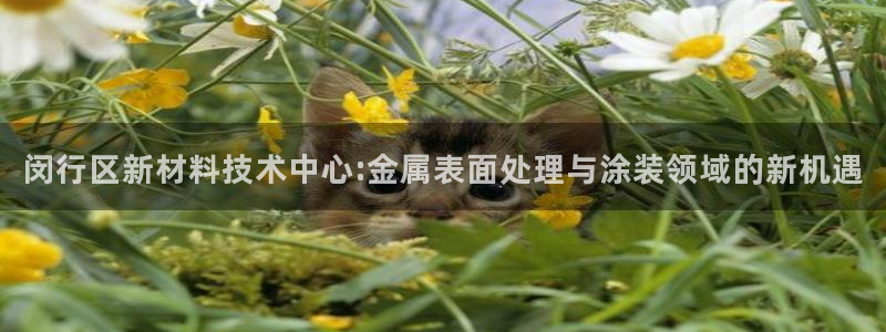 美高梅是谁的