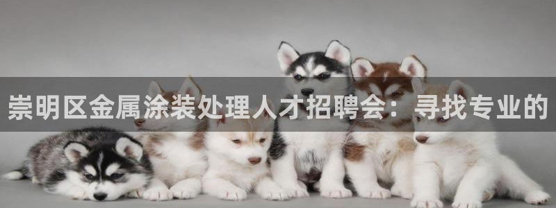何超琼的美高梅
