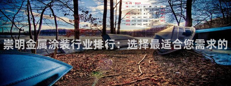 美高梅官网国际亮点