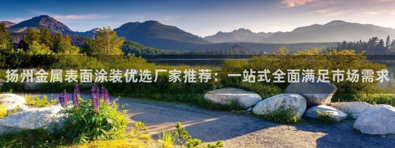 美高梅股票中国毛利率