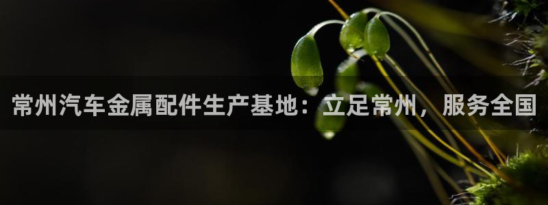美高梅介绍：常州汽车金属配件生产基地：立