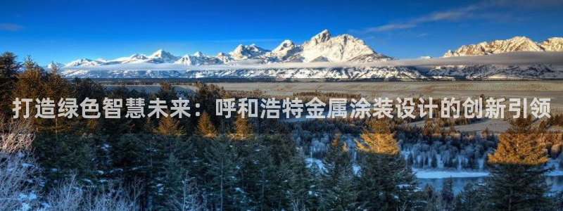 美高梅属于哪个公司