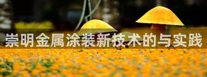 美高梅中国控股有限公司 介绍