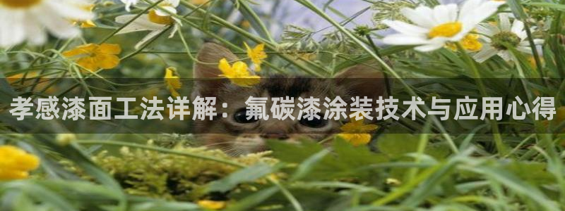 美高梅集团有哪些酒店