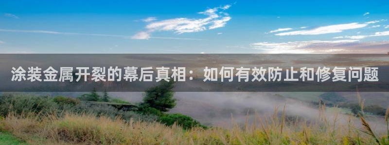 美高梅全国有几家