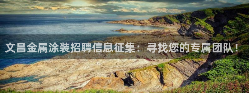 美高梅是谁的?