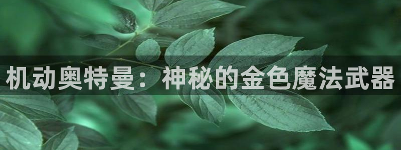 美高梅酒店标志