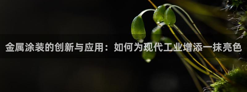美高梅网上直营