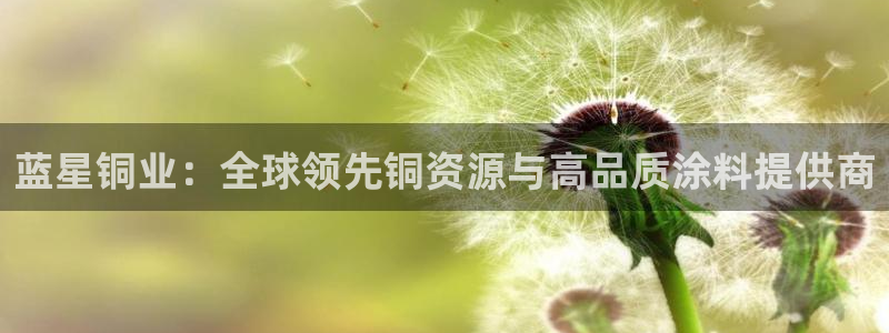 美高梅狮王卡值多少钱
