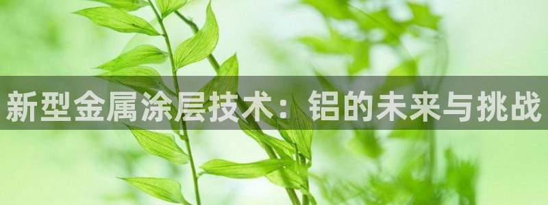 美高梅公司简介怎么写