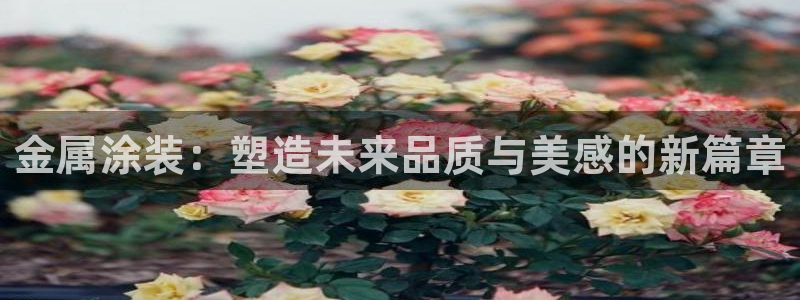 美高梅酒店人均