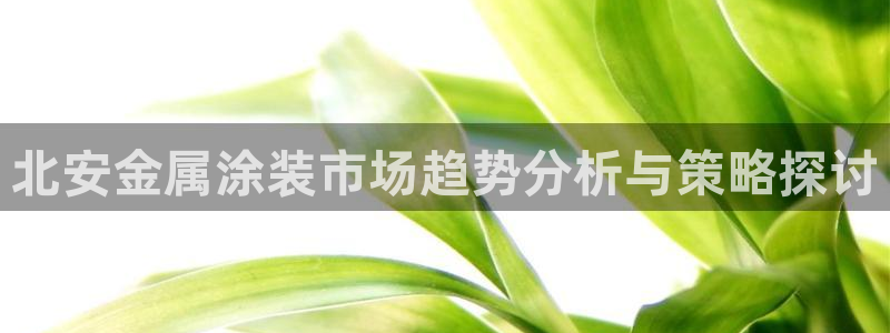 美高梅酒店老板