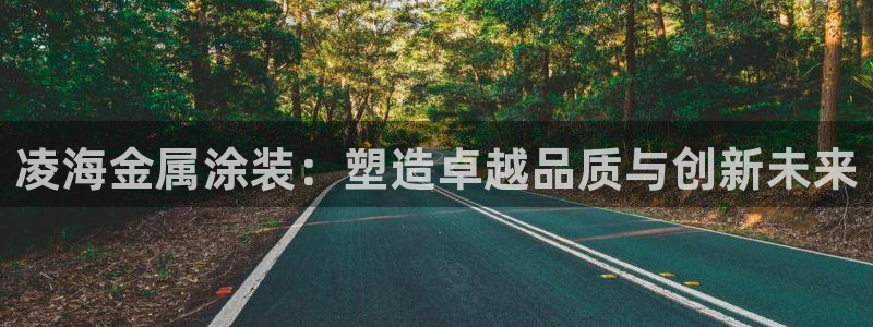 美高梅狮王卡是什么