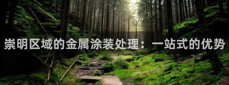 美高梅 何超琼