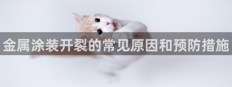 美高梅酒店澳门老板