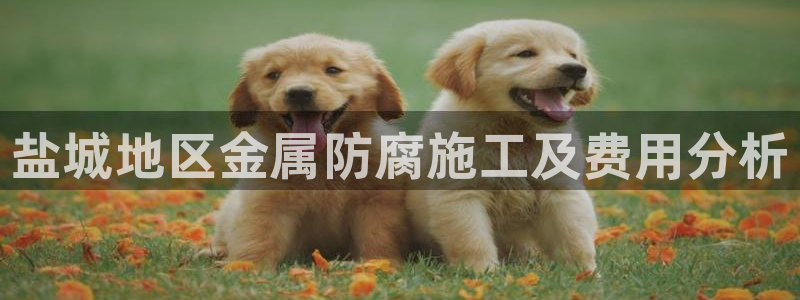 美高梅酒店客房服务员工资