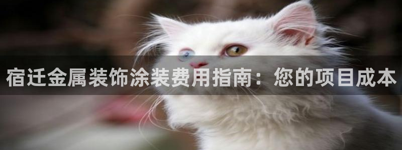 美高梅名字的由来