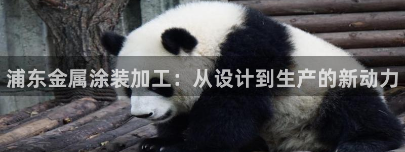 美高梅充值多少钱能提现