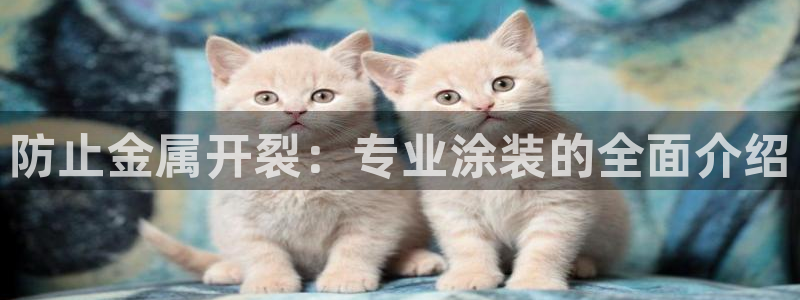 美高梅现金券怎么使用