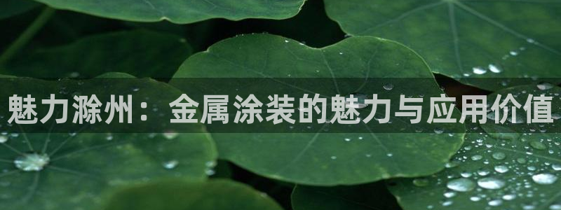 美高梅认养大熊猫