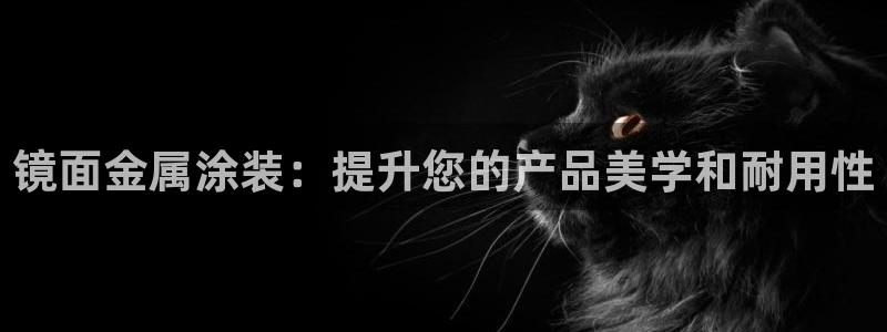 美高梅软件开发创始人