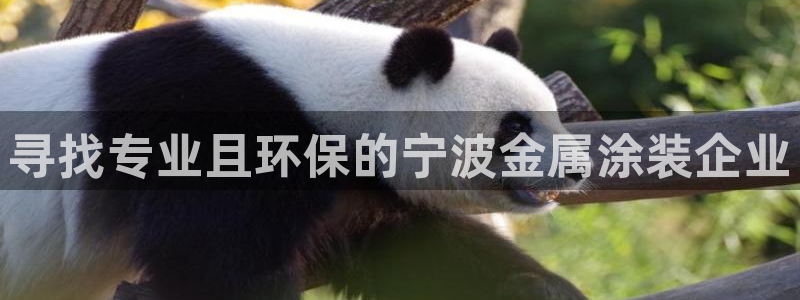 美高梅酒店何超琼