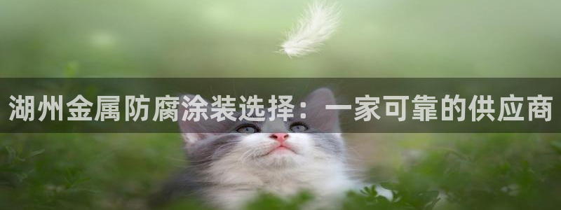 美高梅空中海洋秀在哪里