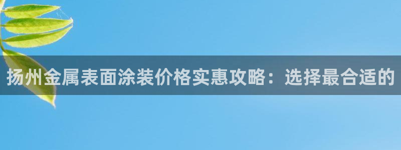 美高梅中国控股有限公司 介绍
