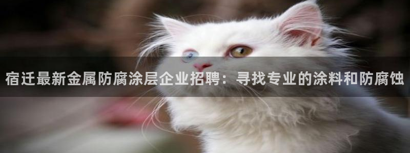 美高梅国内有哪些酒店