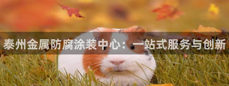 美狮美高梅有什么品牌